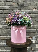 Цветочная композиция из Гипсофила и Розы в шляпной коробке в Девице