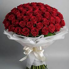 Букет 101 Красная роза Блэк Мэджик в Девице