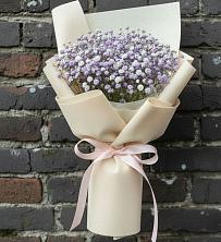 Букет цветов из:  Гипсофила в Девице