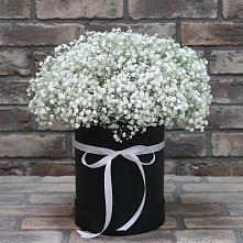 Цветочная композиция из Гипсофила в шляпной коробке в Девице