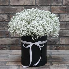 Цветочная композиция из Гипсофила в шляпной коробке в Девице