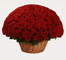 Премиум букет из: Розы в Девице