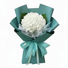 Букет цветов из:  Гортензия в Девице